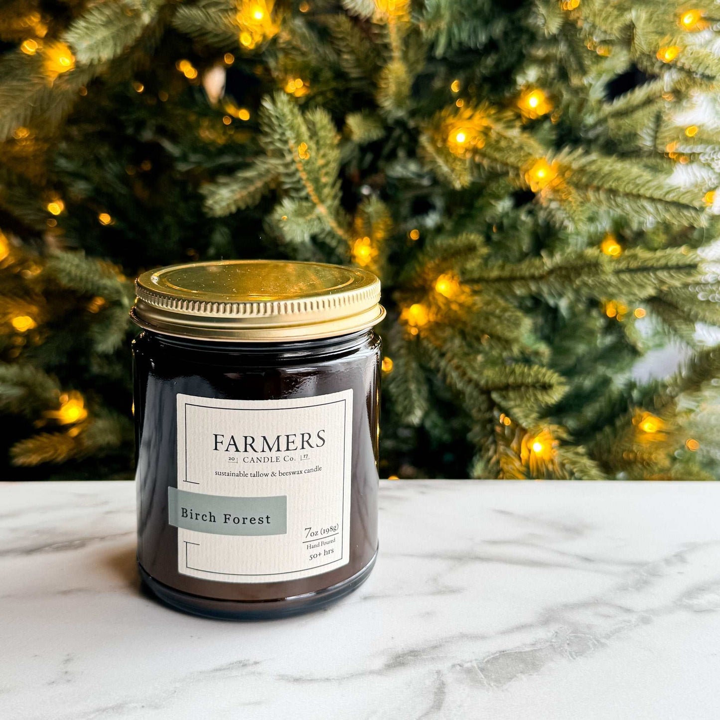 Birch Forest bright citrus and floral notes evoking a crisp winter forest breeze