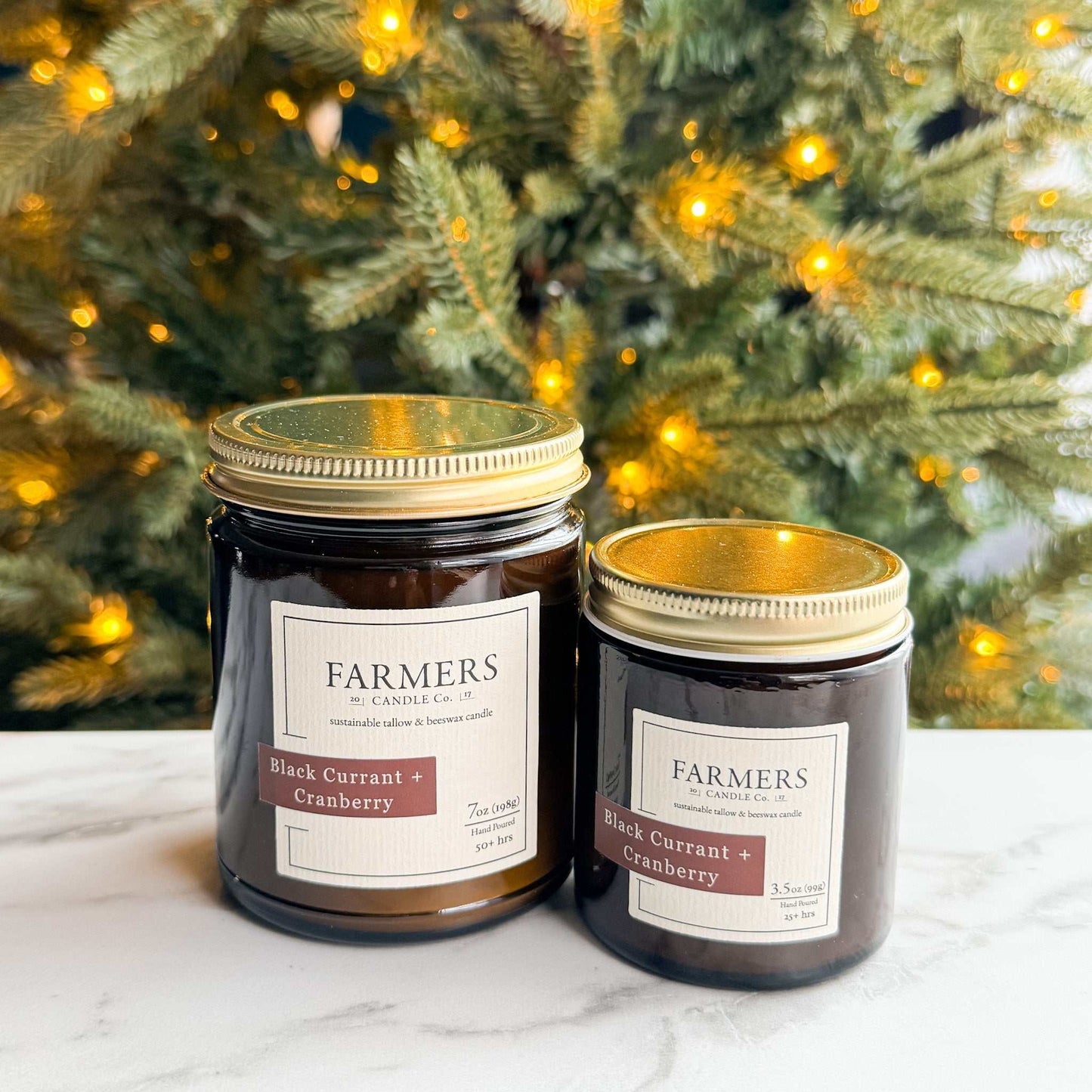 Black Currant + Cranberry fragrance with red currant, cranberry, cinnamon, vanilla, fir, and pine notes