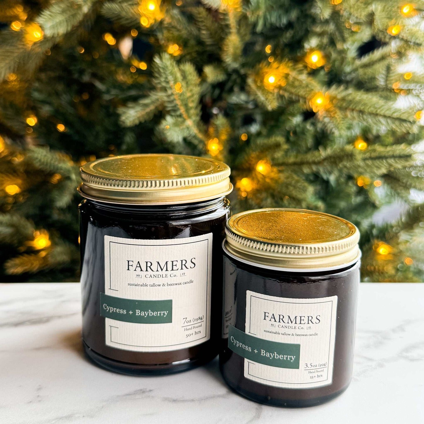 Cypress and Bayberry fragrance oil with eucalyptus, fir, and patchouli notes evoking a fresh evergreen forest ambiance