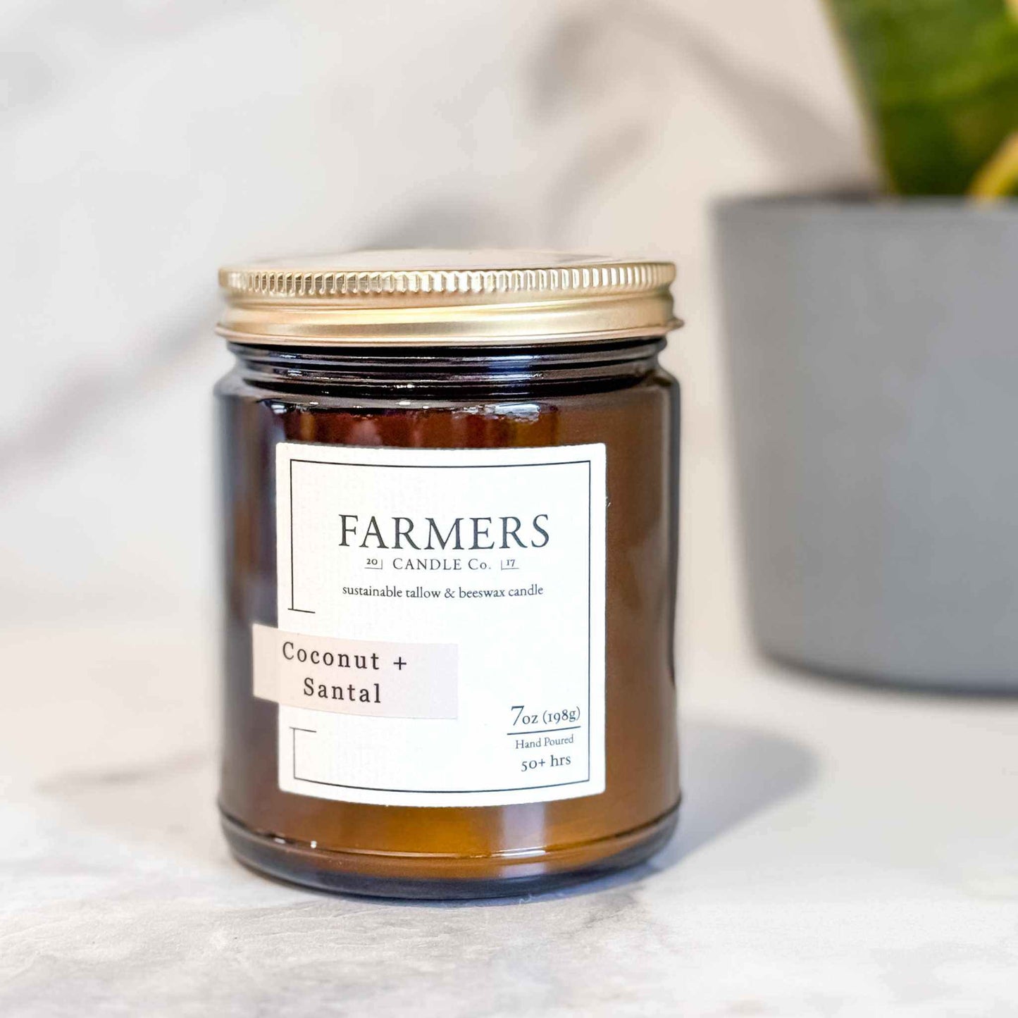 Coconut + Santal tropical beach scent with creamy coconut and rich sandalwood notes