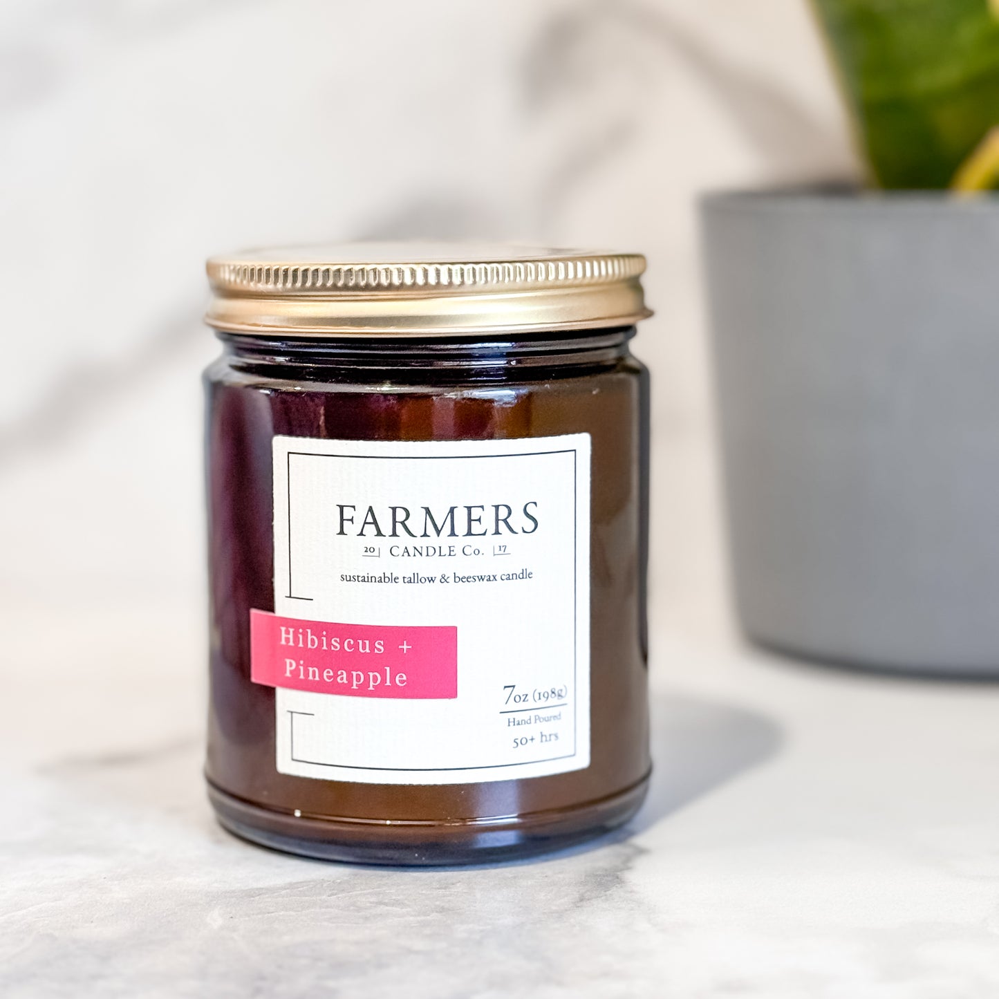 Hibiscus + Pineapple