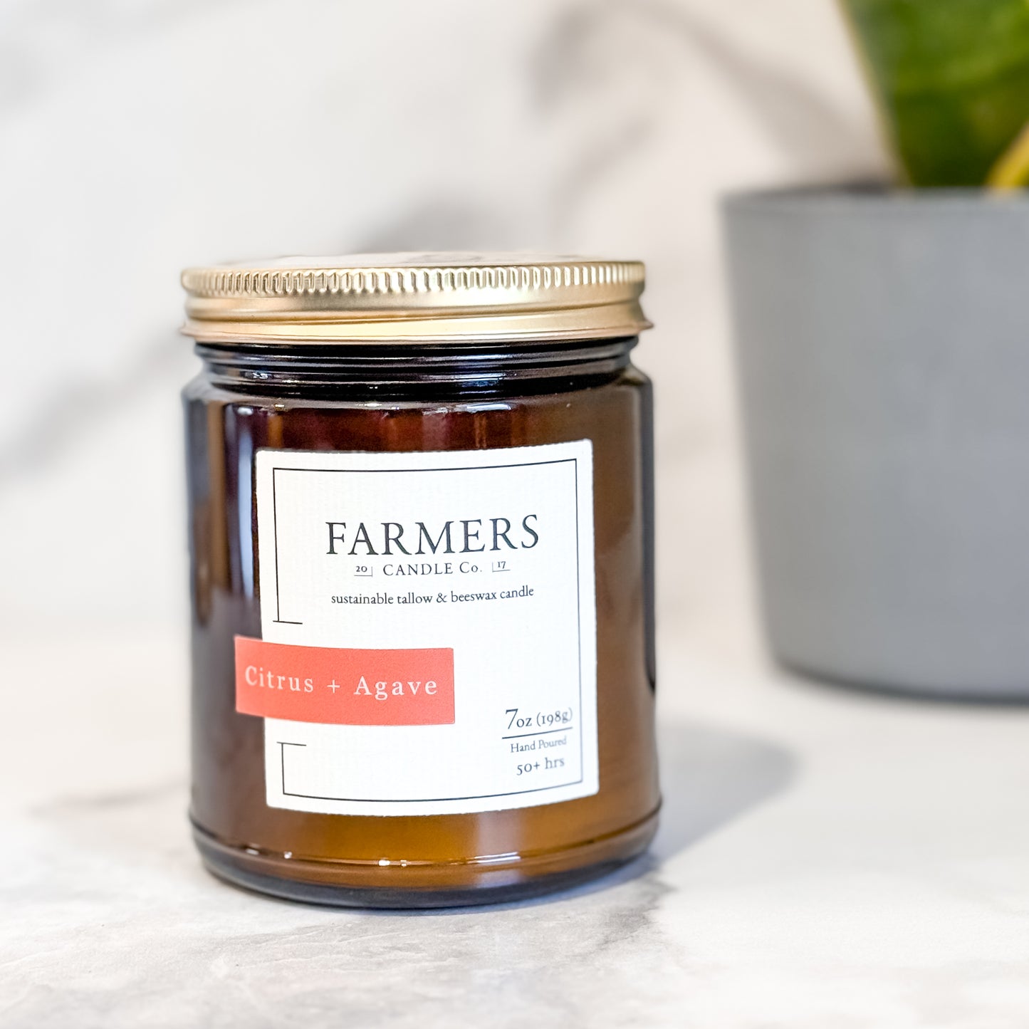 Citrus + Agave