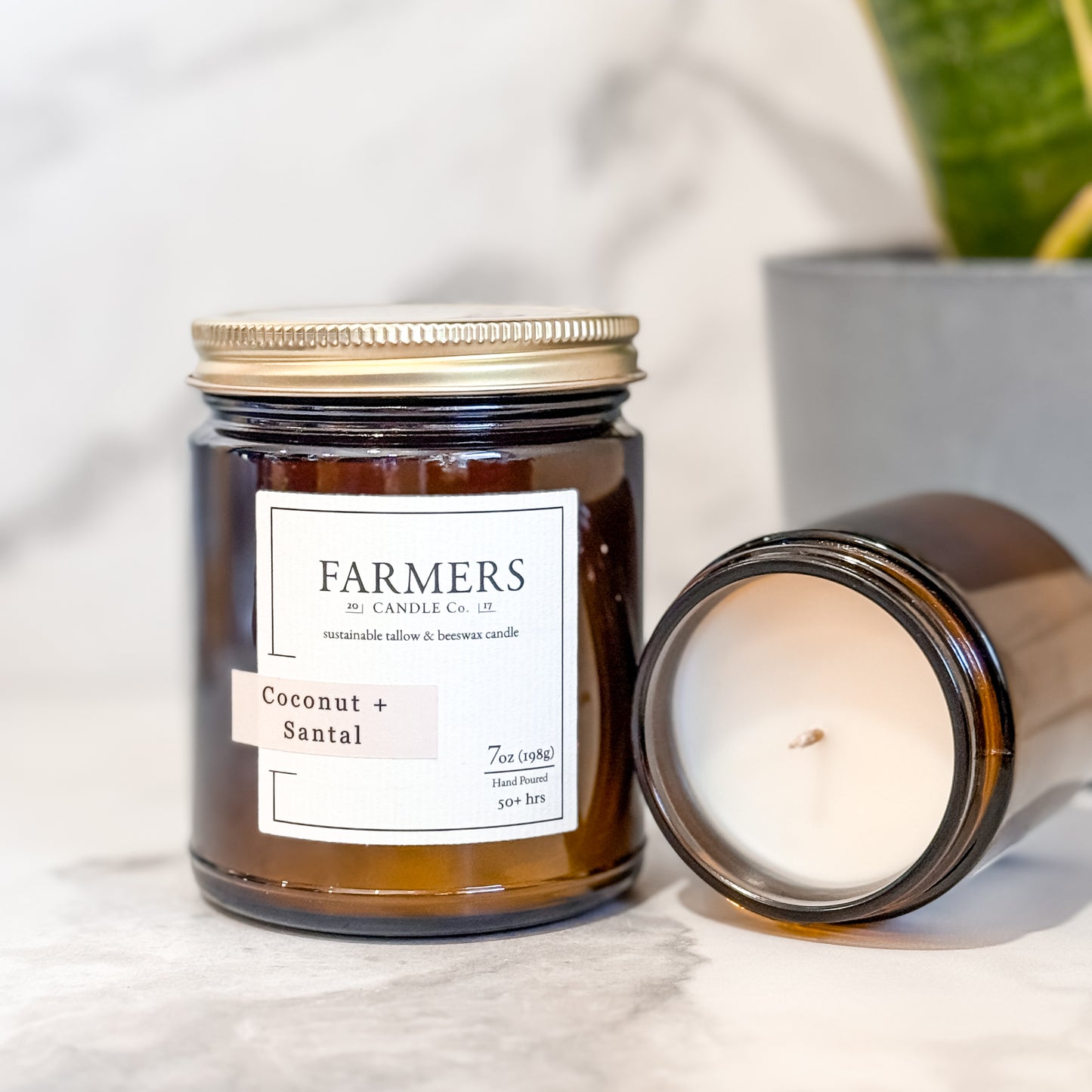 Coconut + Santal