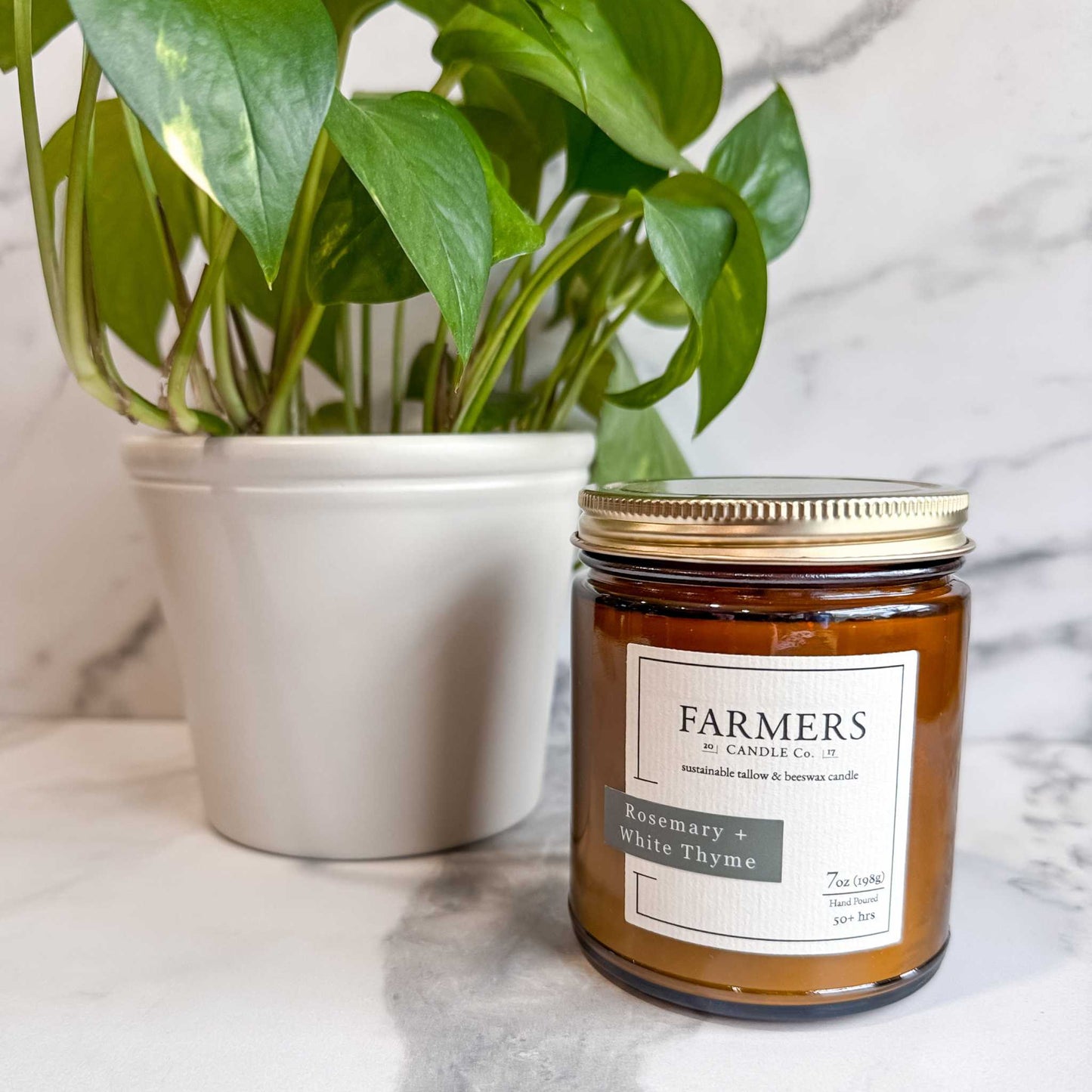 Rosemary + White Thyme scented candle in glass jar with natural tallow and beeswax blend for calming aroma
