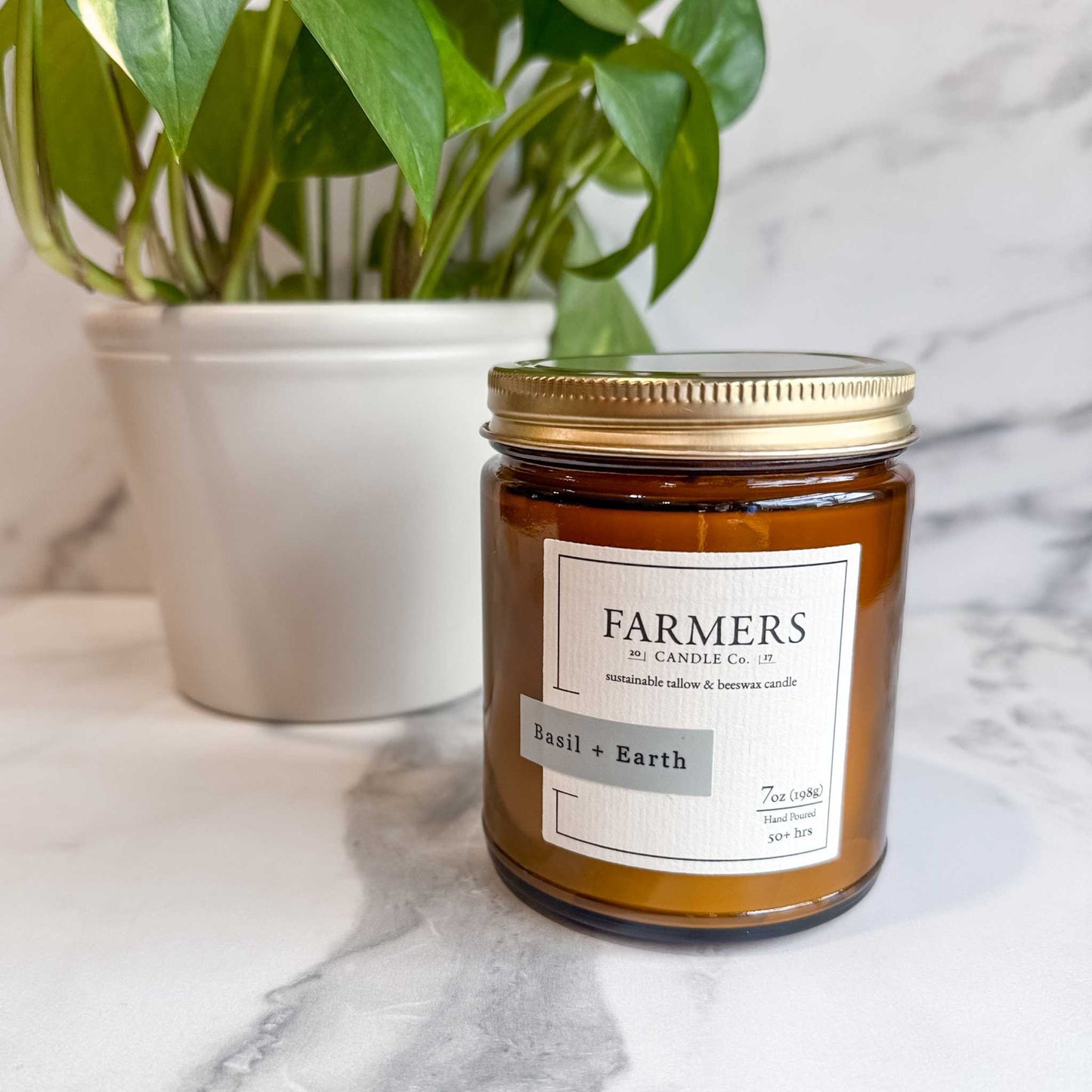 Basil + Earth lime and lemongrass product packaging with natural ingredients background