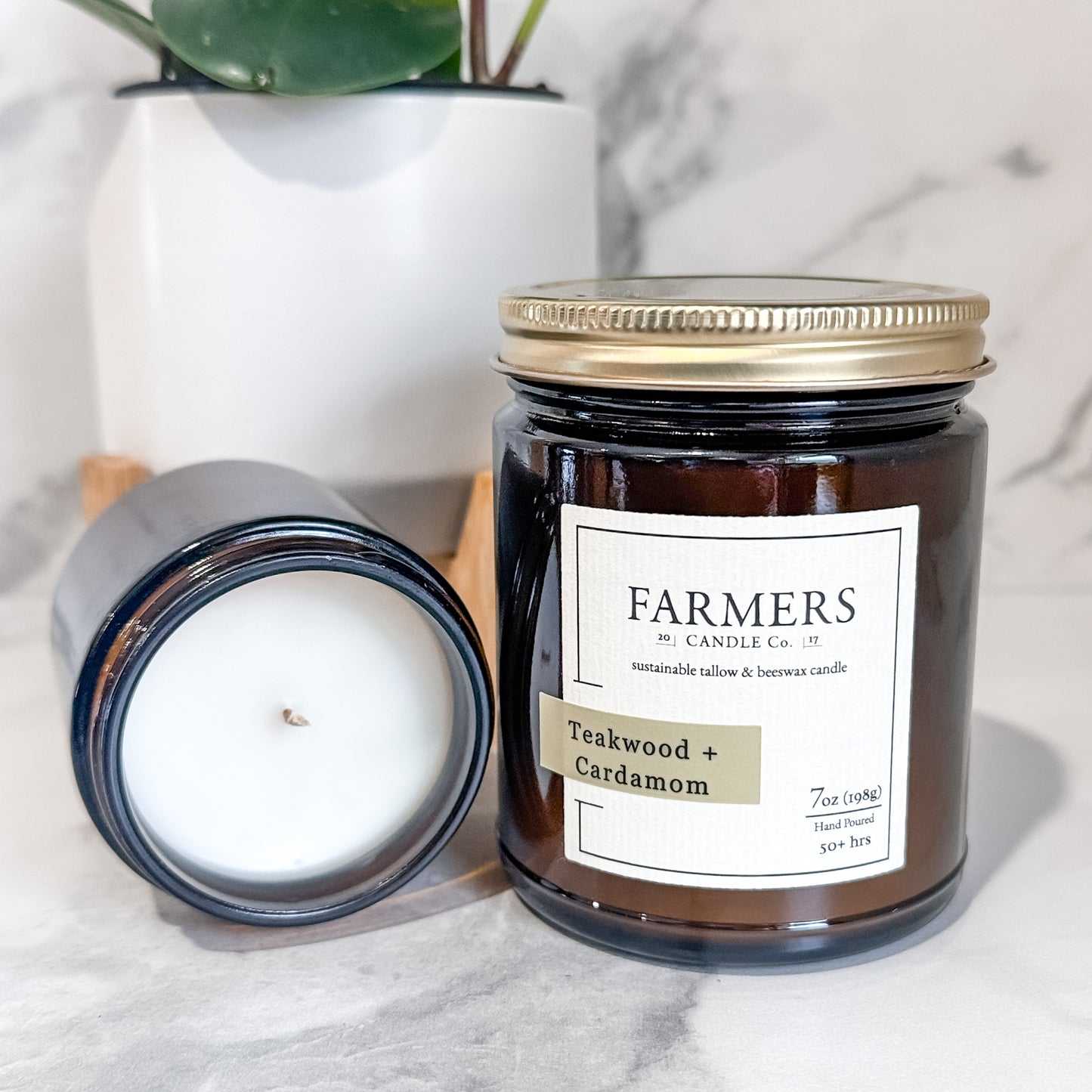 Teakwood + Cardamom
