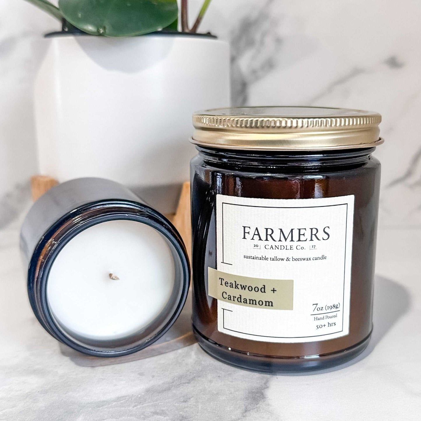 Teakwood and cardamom fragrance with cinnamon, clove, cedar, amber, sandalwood, and patchouli notes