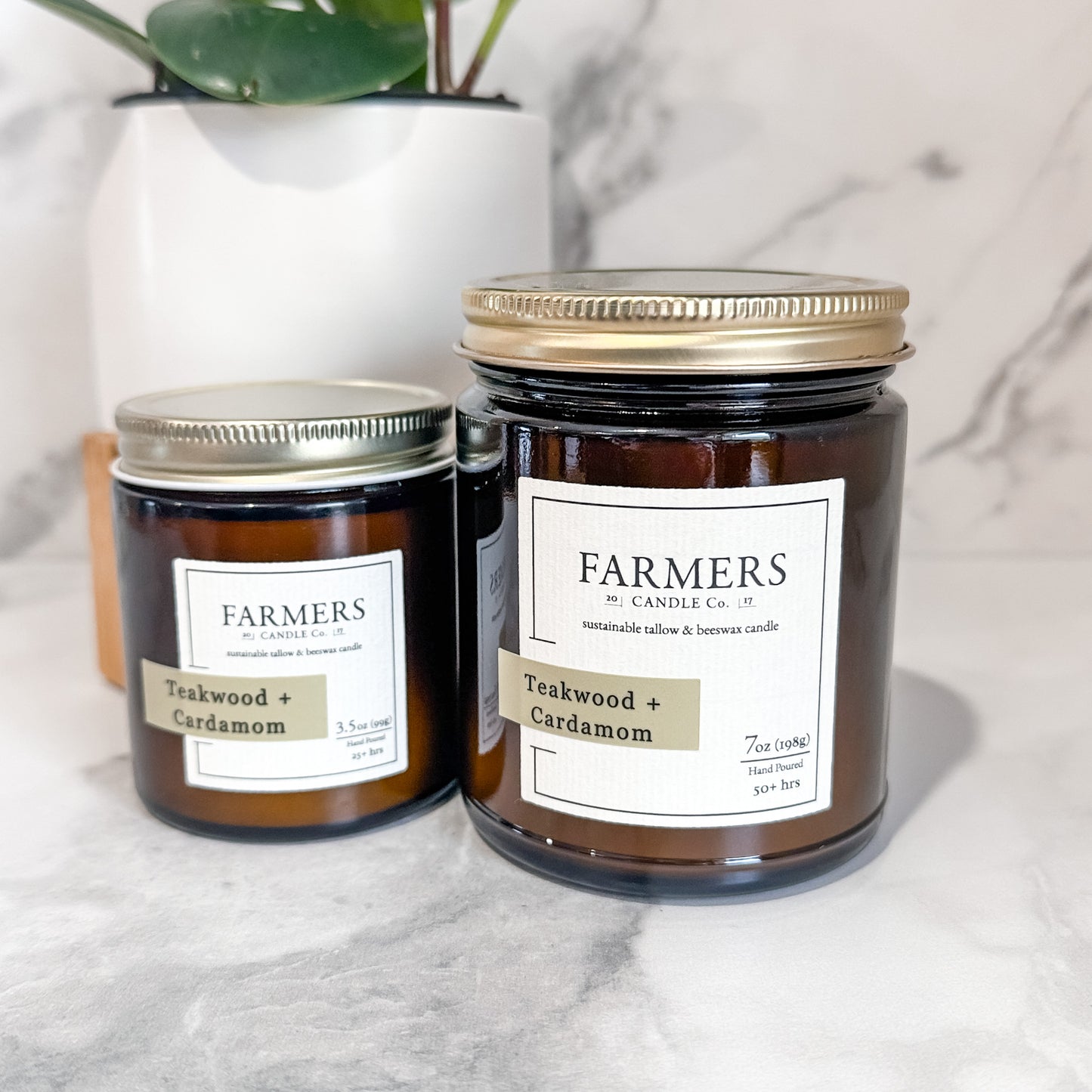 Teakwood + Cardamom