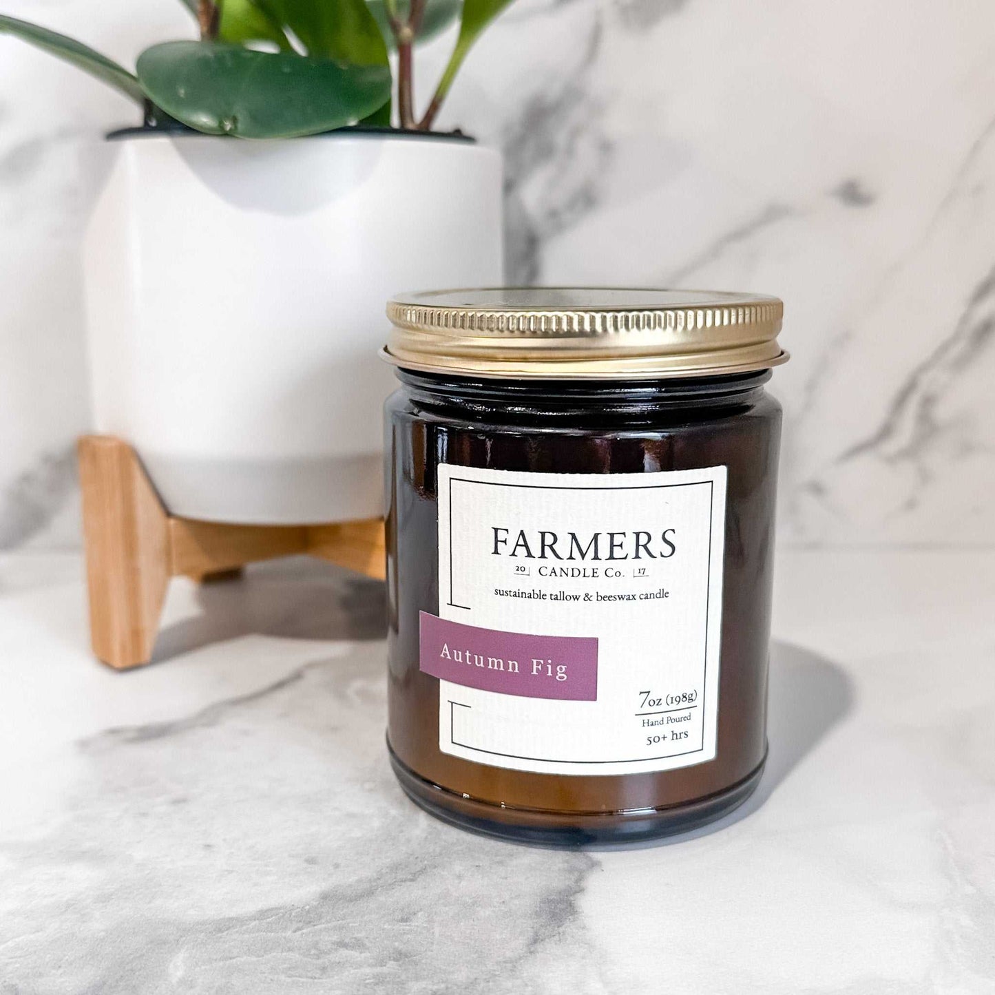 Autumn Fig fall blend with apple, lemon, ginger, fig, caramel, cinnamon, coffee, and forest notes