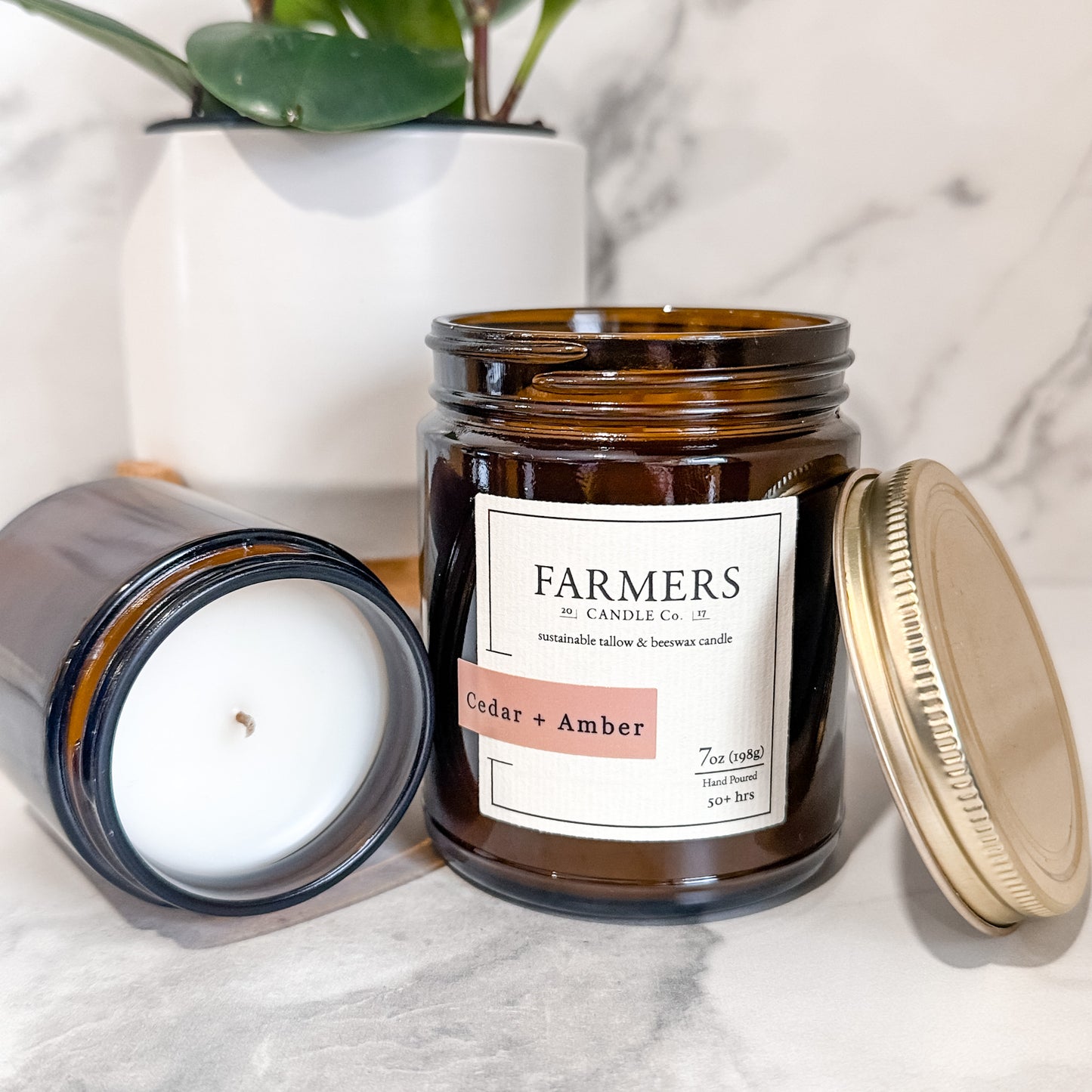 Cedar + Amber