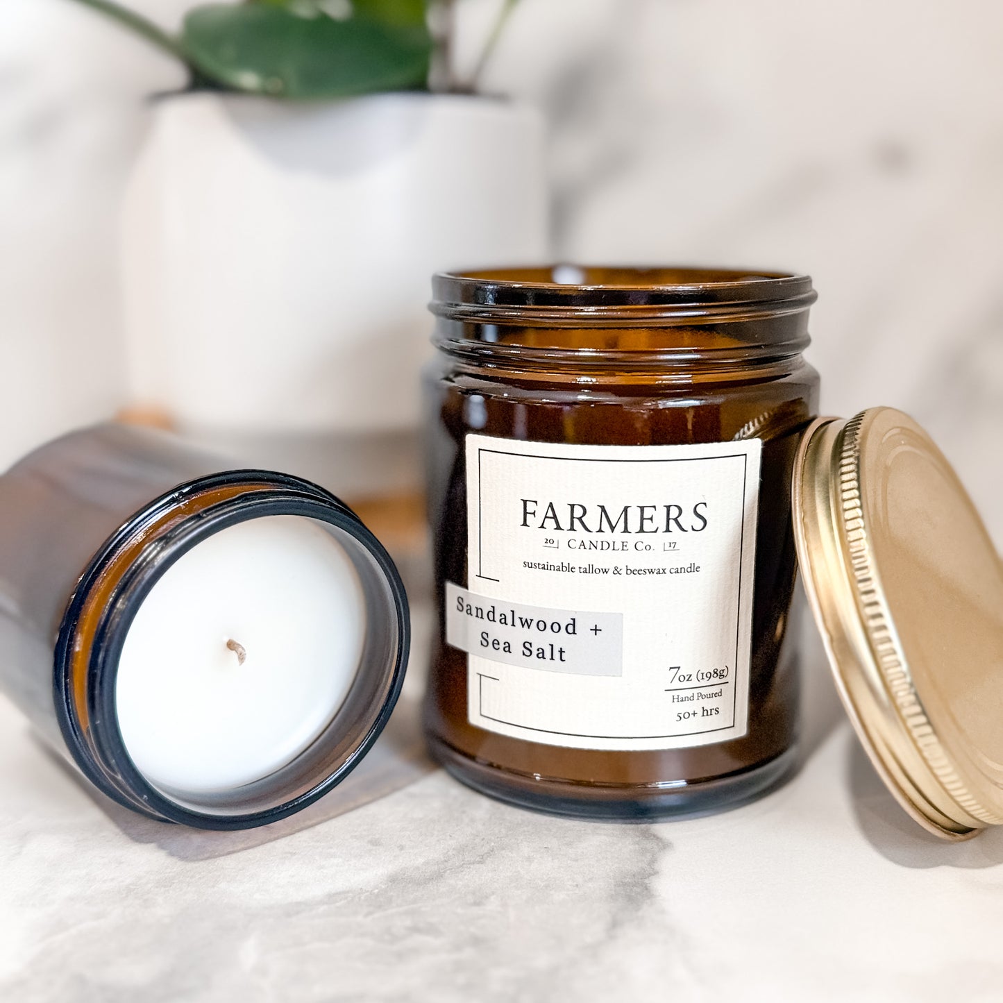 Sandalwood + Sea Salt