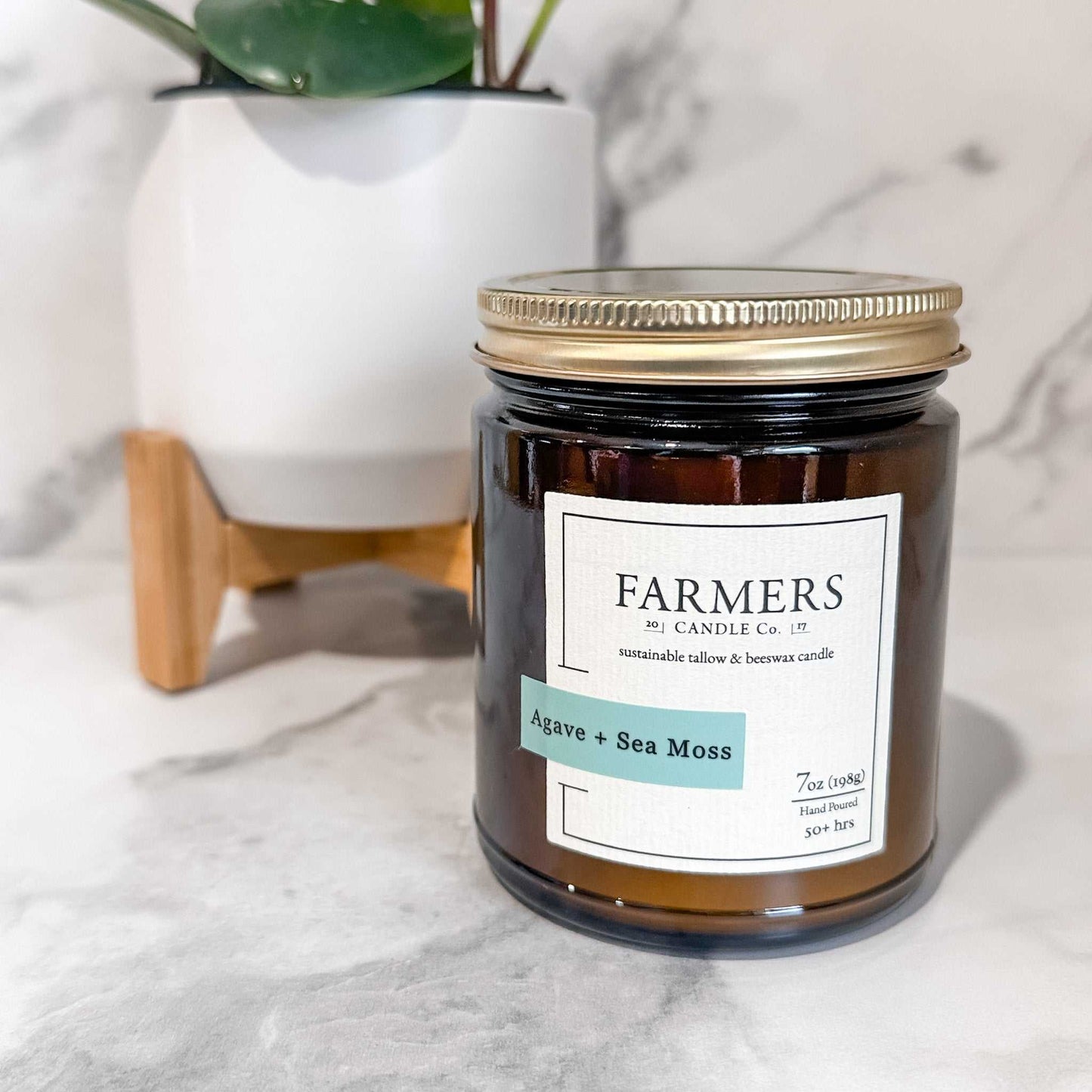 Agave + Sea Moss scented candle in amber jar with gold lid by Farmers Candle Co.