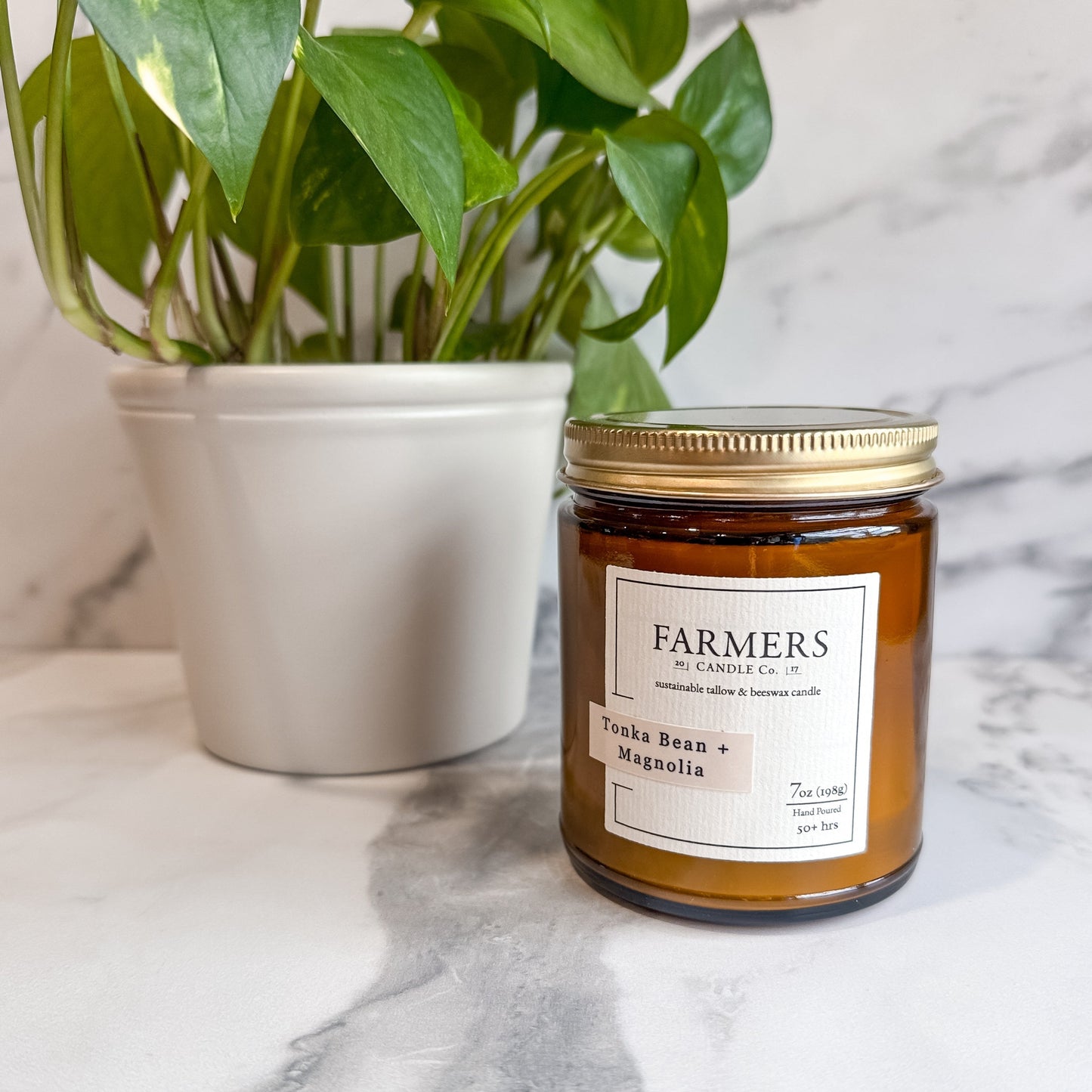Tonka Bean and Magnolia product packaging with natural ingredients background