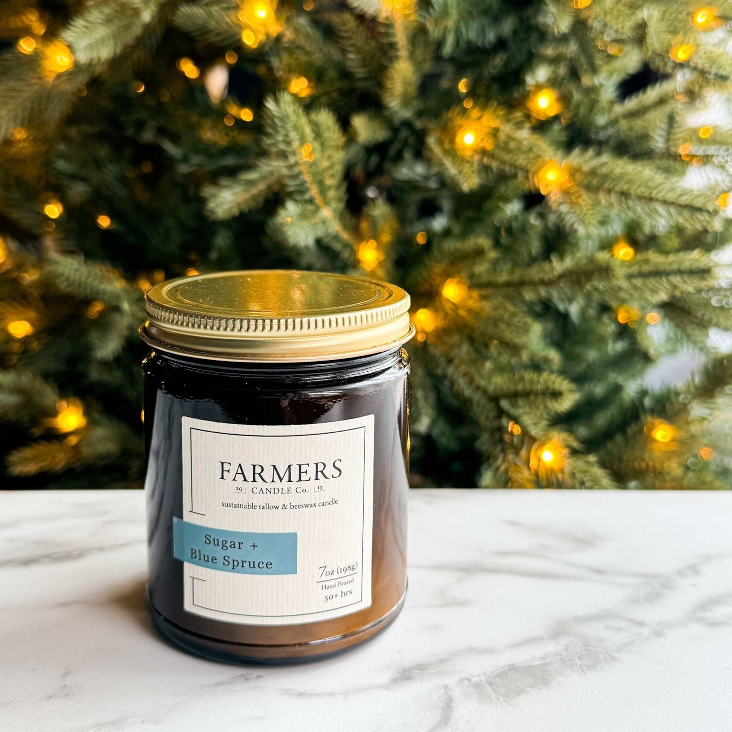 Sugar + Blue Spruce candle with vanilla and fresh blue spruce scent