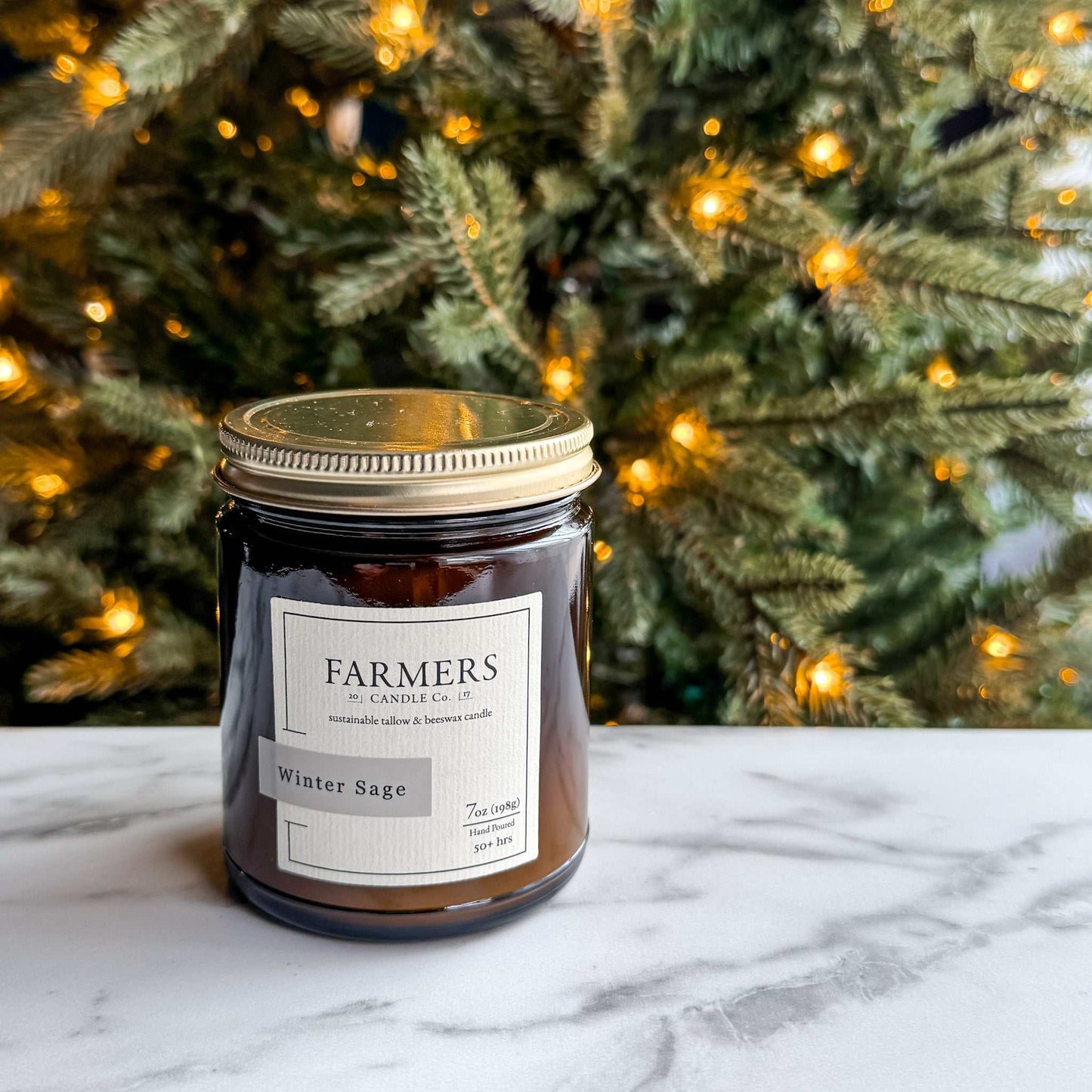 Winter Sage fragrance with pine, rosemary, clove, and cinnamon notes evoking cozy winter warmth